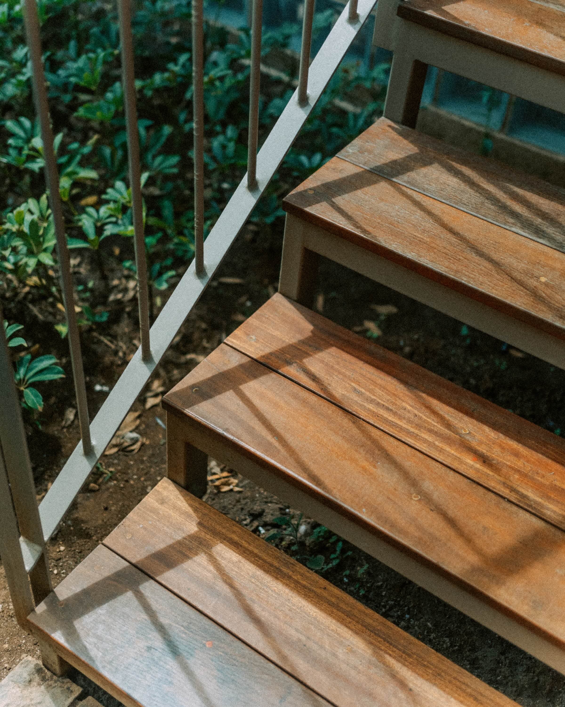 Tangga kayu di antara tanaman